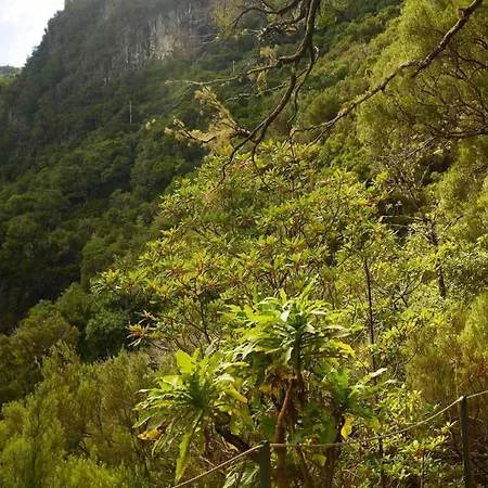 Casa Herbarium Holiday home