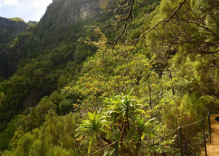 Casa Herbarium Holiday home